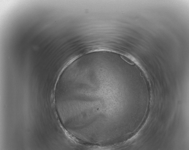 X0000068271145200605051808