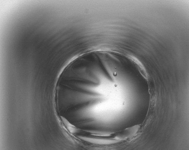 X0000068271146200605051808