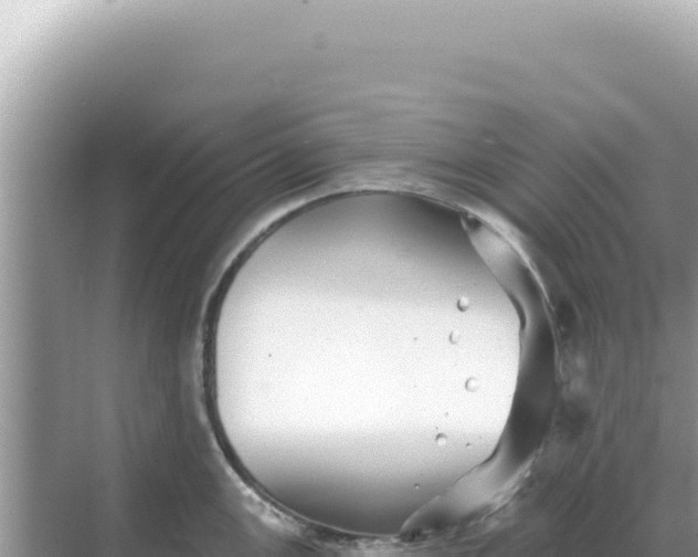 X0000068271147200605051808