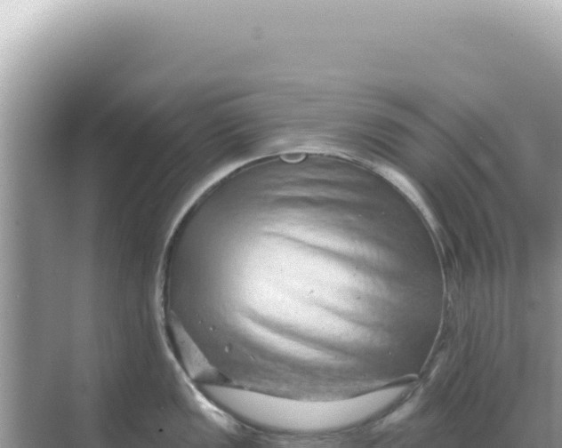 X0000068271149200605051808