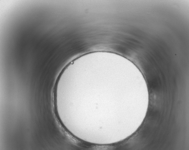 X0000068271150200605051808