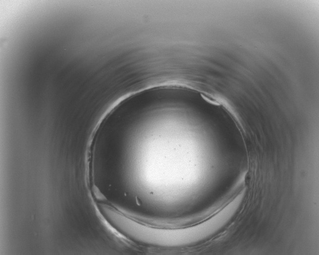 X0000068271151200605051808