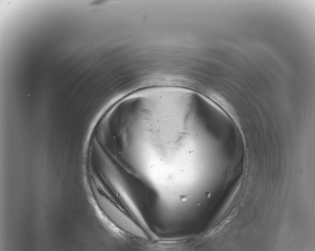 X0000068271152200605051808