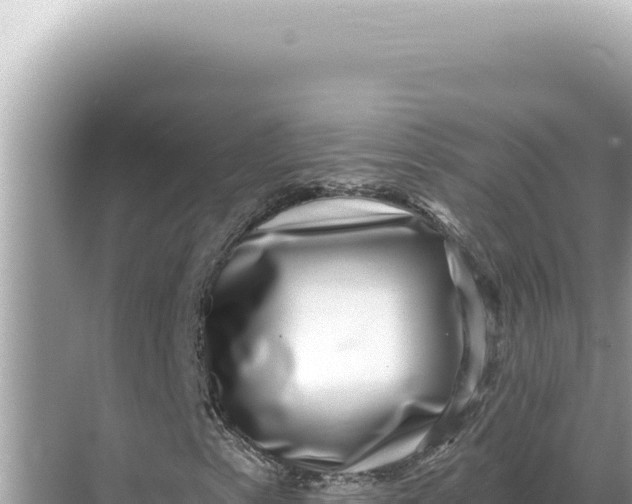 X0000068271153200605051807