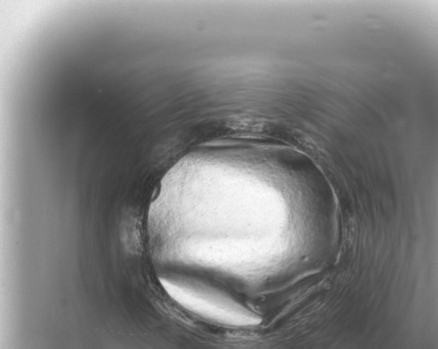 X0000068271154200605051807