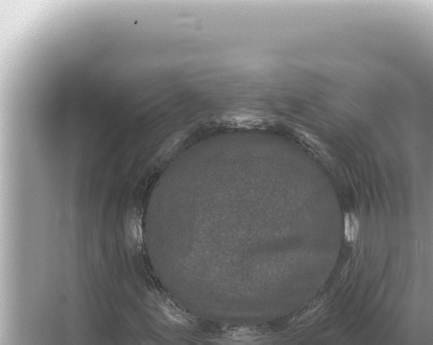 X0000068271155200605051807