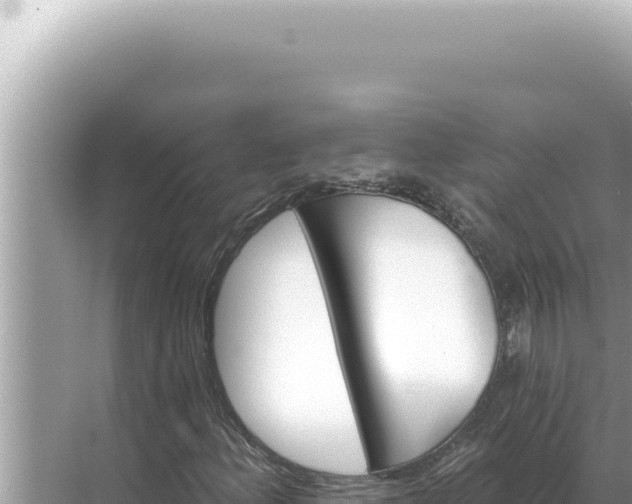 X0000068271156200605051807