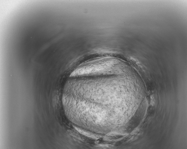 X0000068271157200605051807