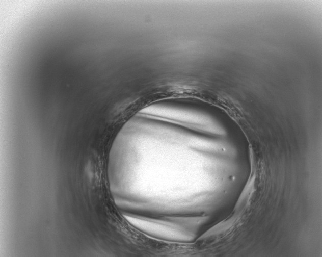 X0000068271158200605051807