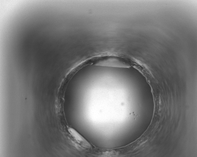 X0000068271160200605051807