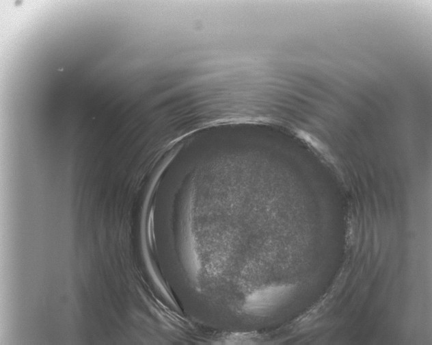 X0000068271161200605051807