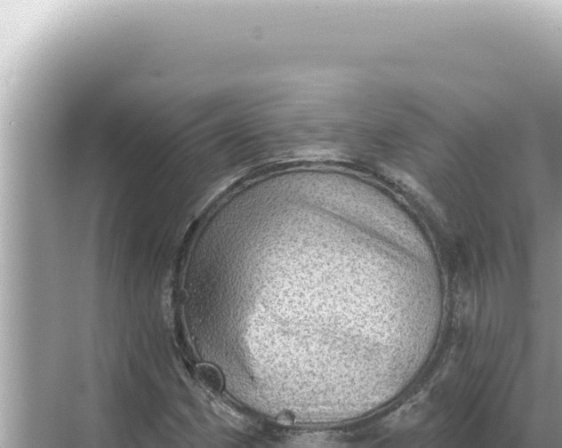 X0000068271162200605051807