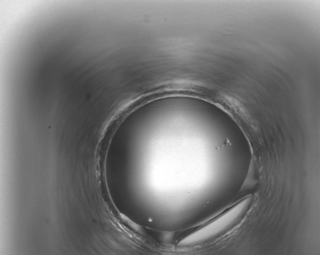 X0000068271164200605051807