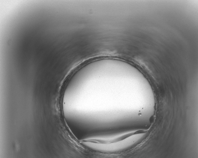 X0000068271168200605051807