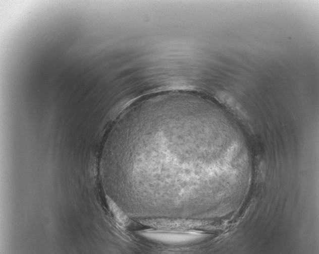 X0000068271169200605051807