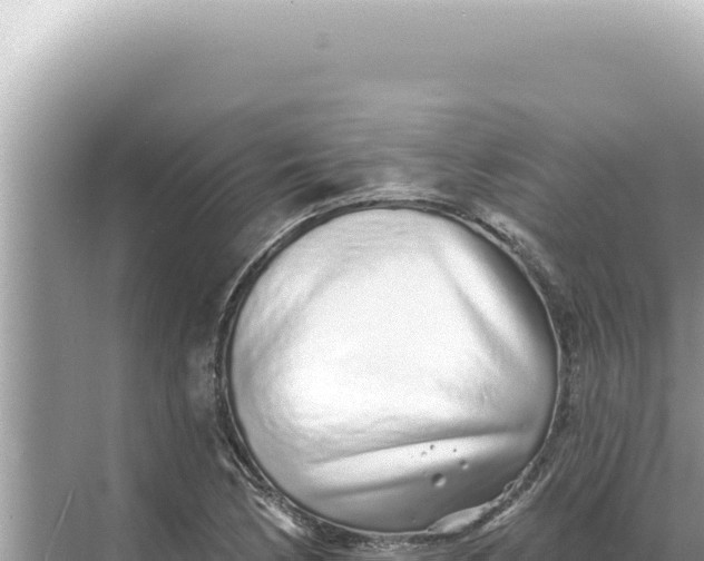 X0000068271170200605051807