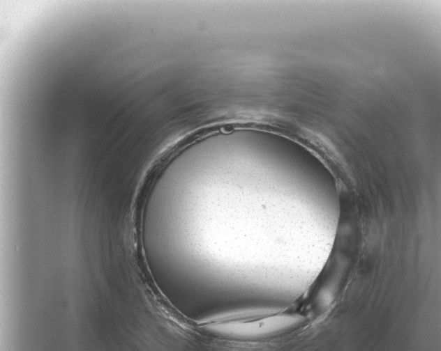 X0000068271172200605051807