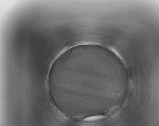 X0000068271173200605051807