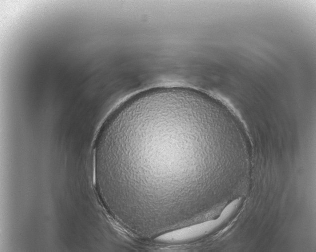 X0000068271175200605051807