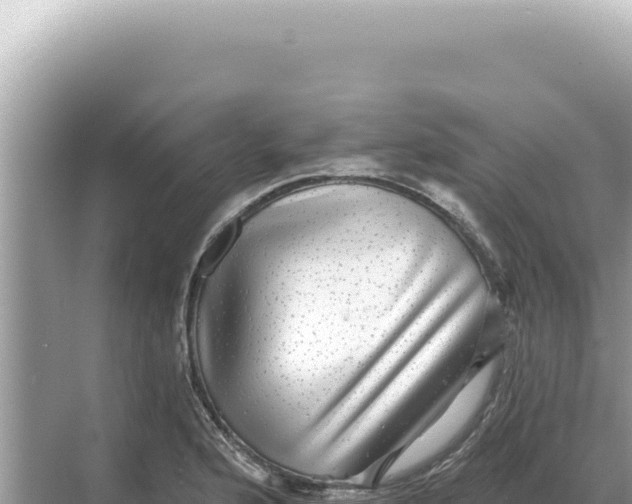 X0000068271176200605051807