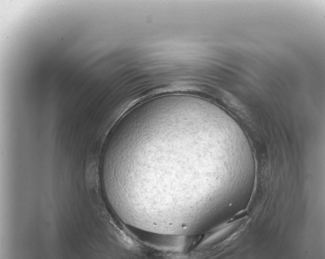 X0000068271177200605051807