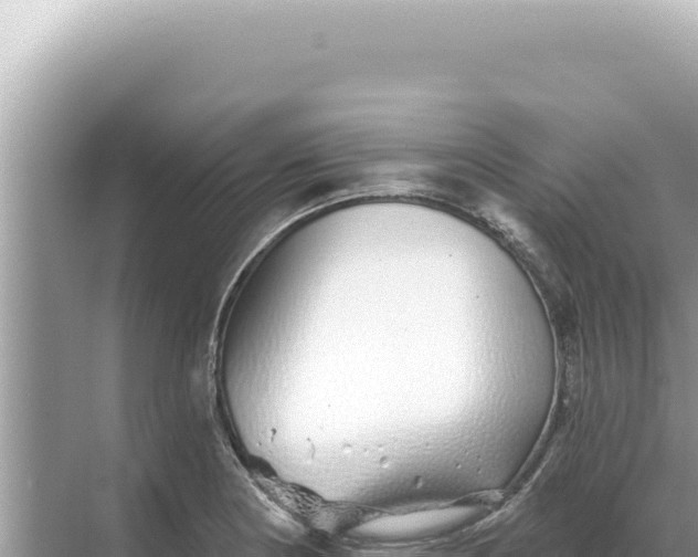 X0000068271178200605051807