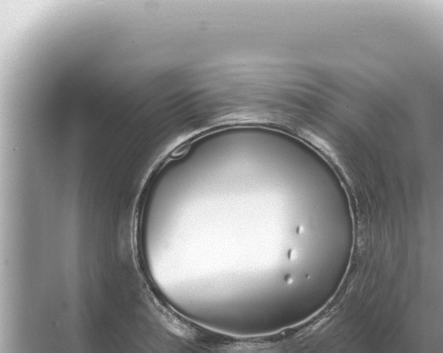 X0000068271179200605051807