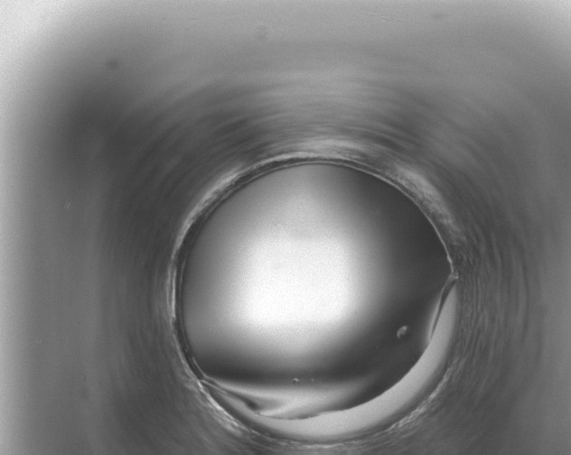 X0000068271180200605051807