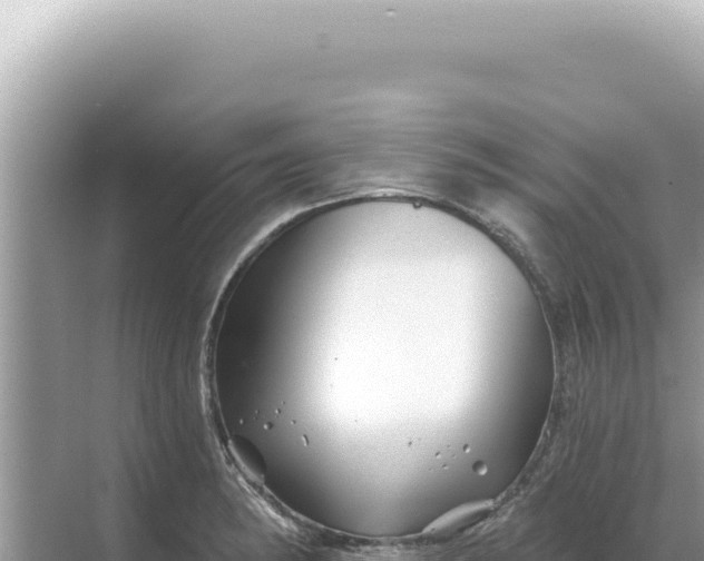 X0000068271182200605051807