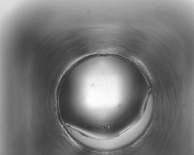 X0000068271184200605051807