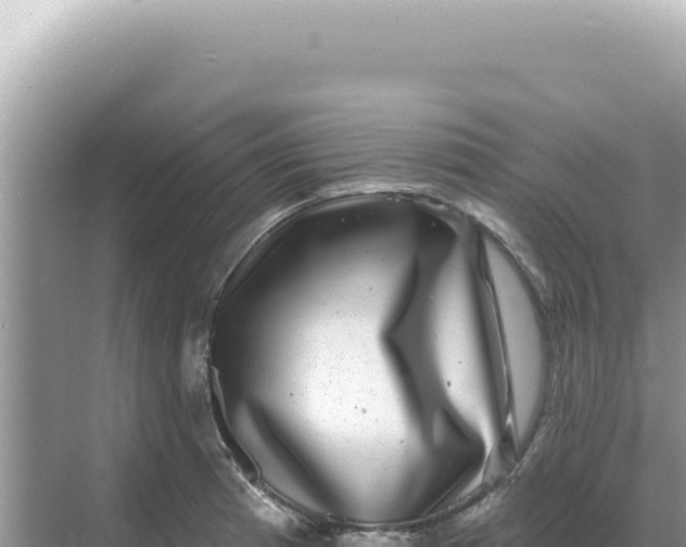 X0000068271185200605051807