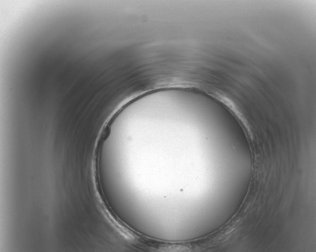 X0000068271187200605051807