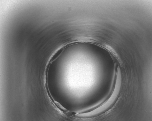 X0000068271188200605051807