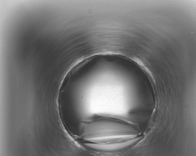 X0000068271189200605051807