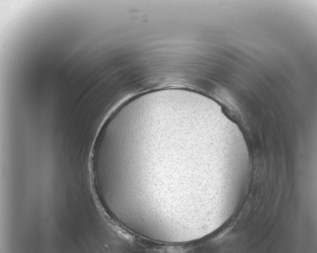 X0000068271190200605051807