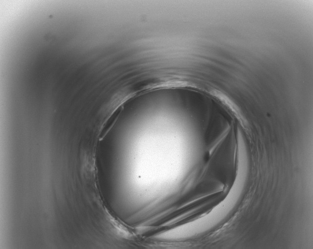 X0000068271193200605051807