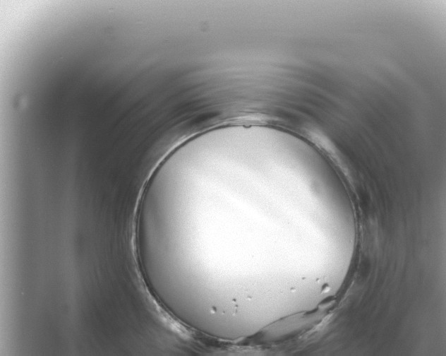 X0000068271194200605051807