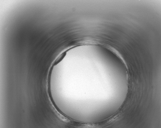 X0000068271195200605051807