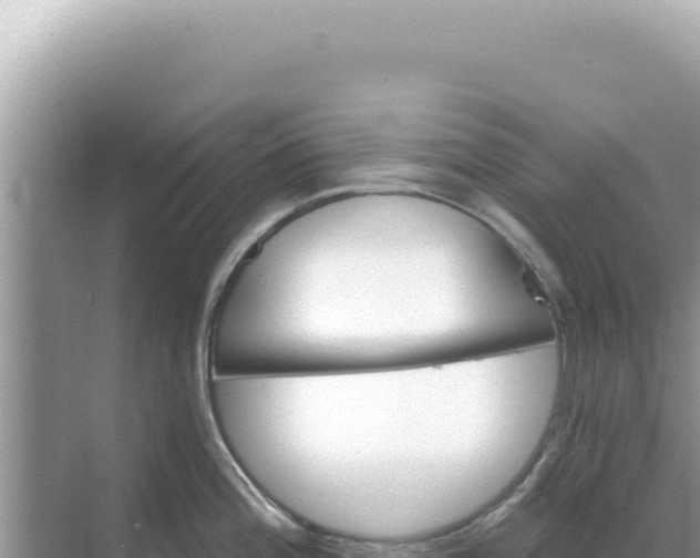 X0000068271196200605051807