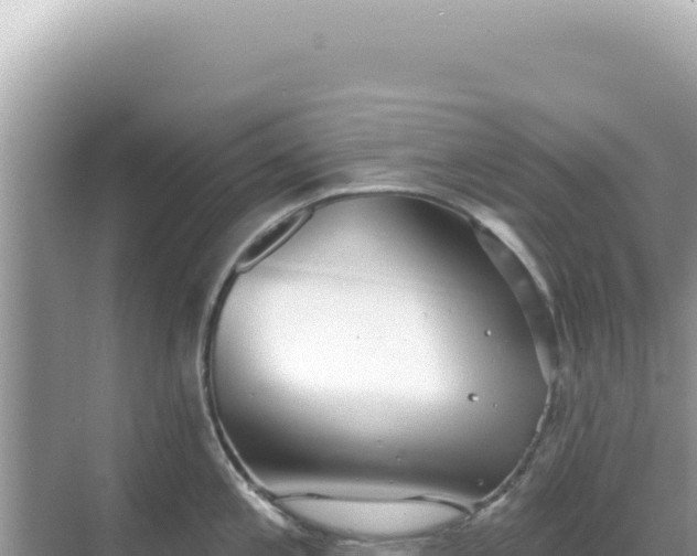 X0000068271197200605051807