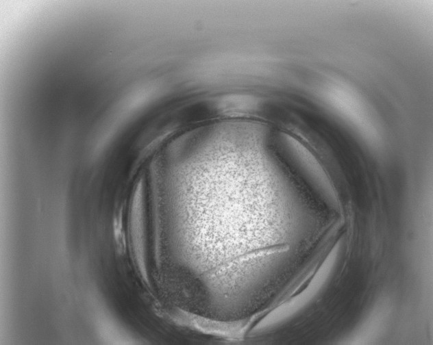 X0000068271198200605051807