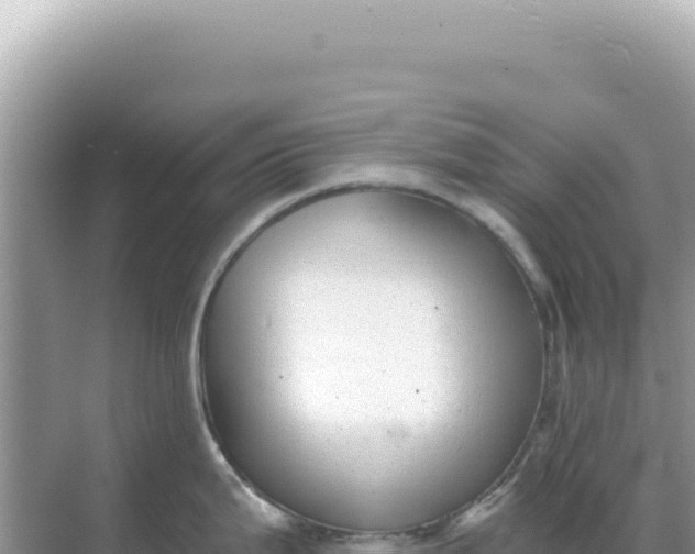 X0000068271199200605051807