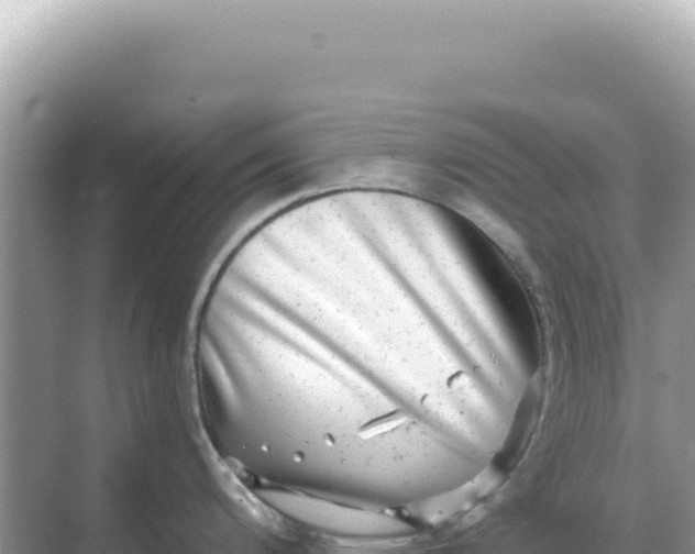 X0000068271200200605051807