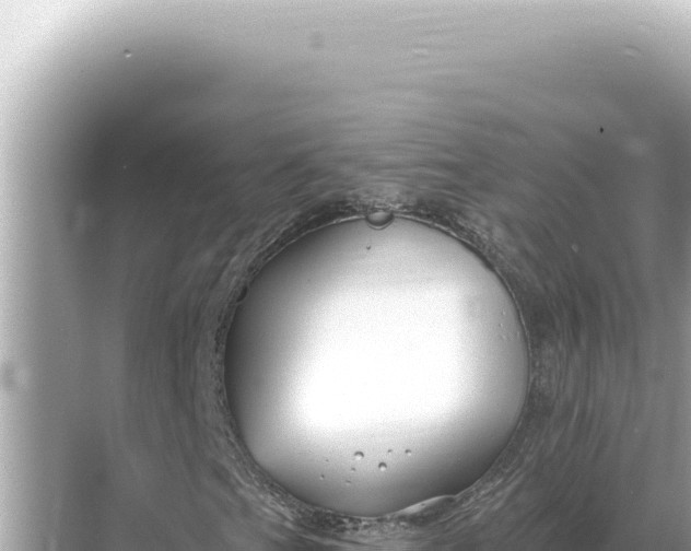 X0000068271201200605051806