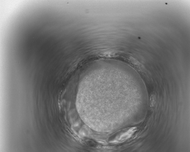 X0000068271202200605051806