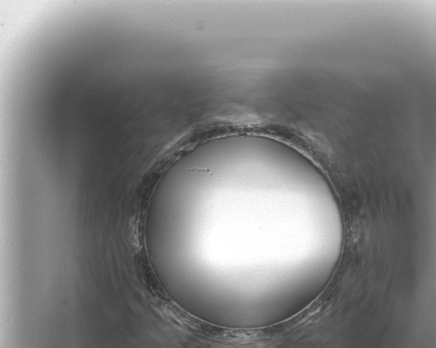 X0000068271205200605051806