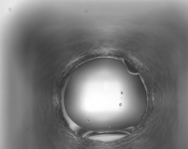 X0000068271206200605051806