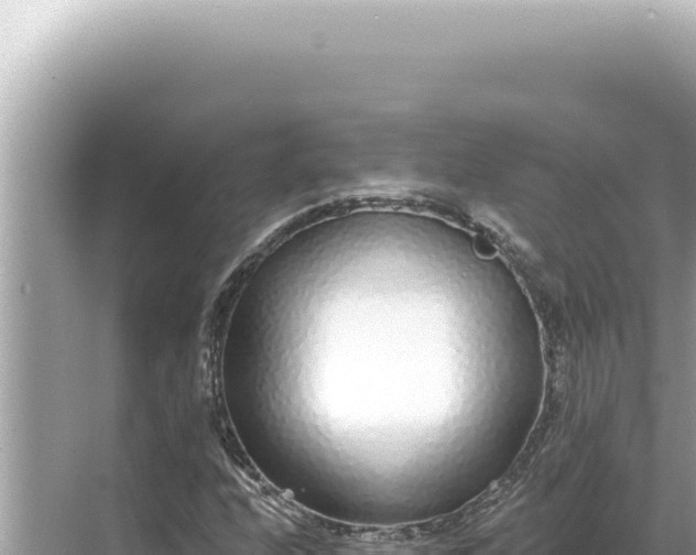 X0000068271208200605051806