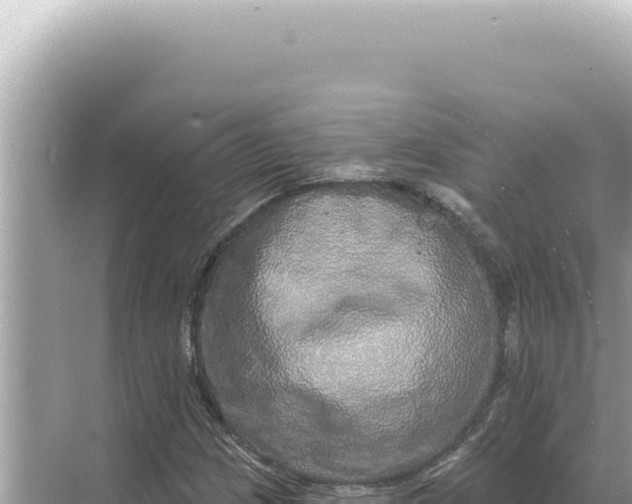 X0000068271209200605051806