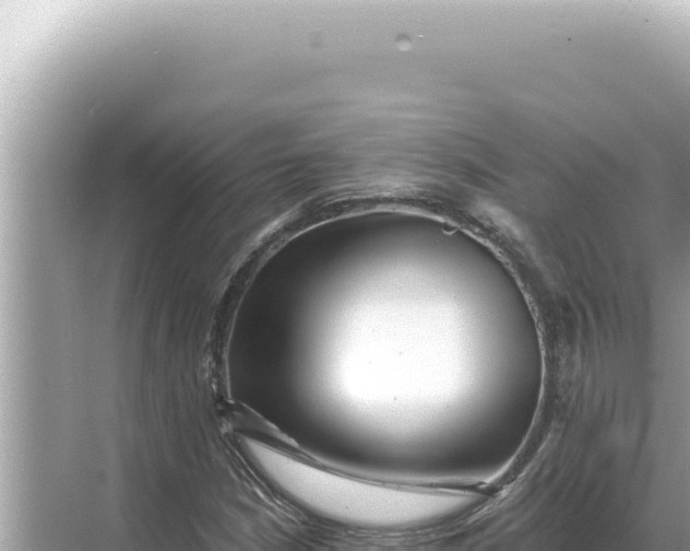 X0000068271210200605051806